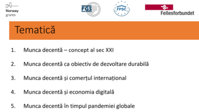 instruire munca decenta