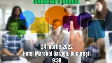 consultare finala
